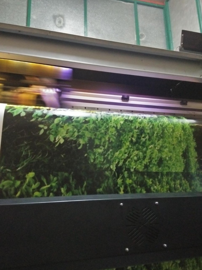 Labiza Advertising Photo 2